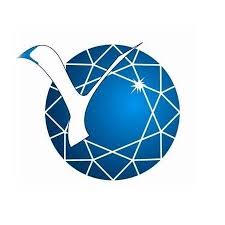 North-Eastern Federal University named after MK Ammosov Logo